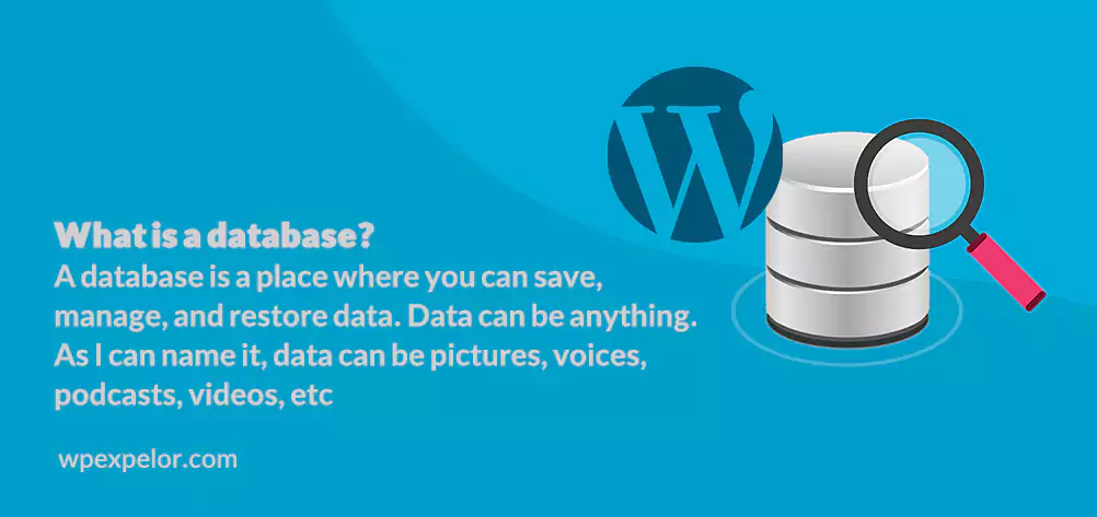 what is a database